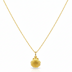 Gold necklace with a shell pendant on a white background