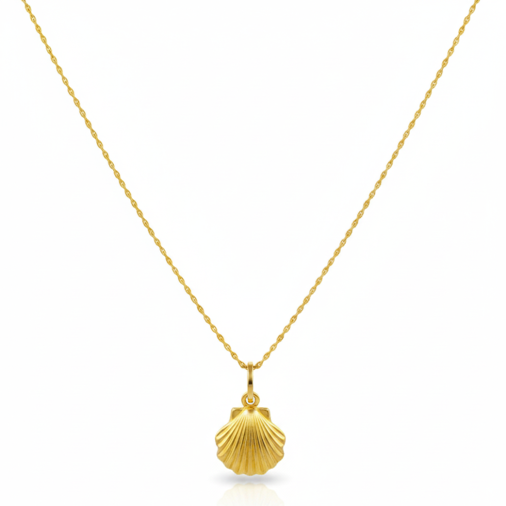 Gold necklace with a shell pendant on a white background