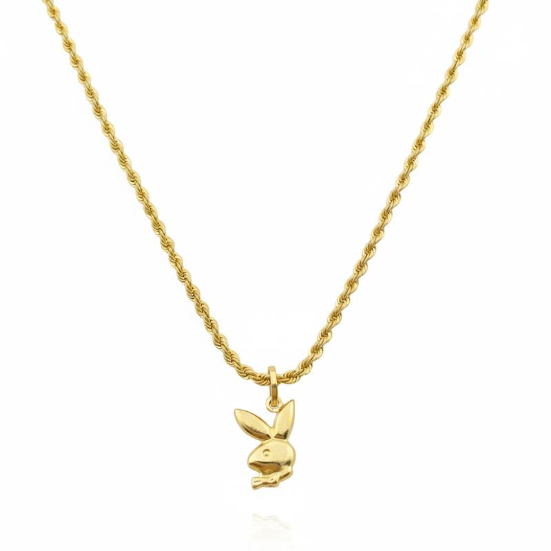 قلادة دولفين من الذهب عيار 18 قيراط - مجموعة متميزة - Embellish Gold