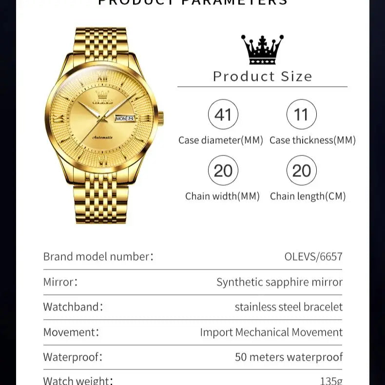 OLEVS 6657 Imported Automatic Movement Men's Watches - Olevs - Embellish Gold Jewelry & Diamond