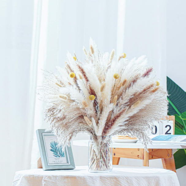 Decorative arrangement of pampas grass in a clear vase on a table with a light background