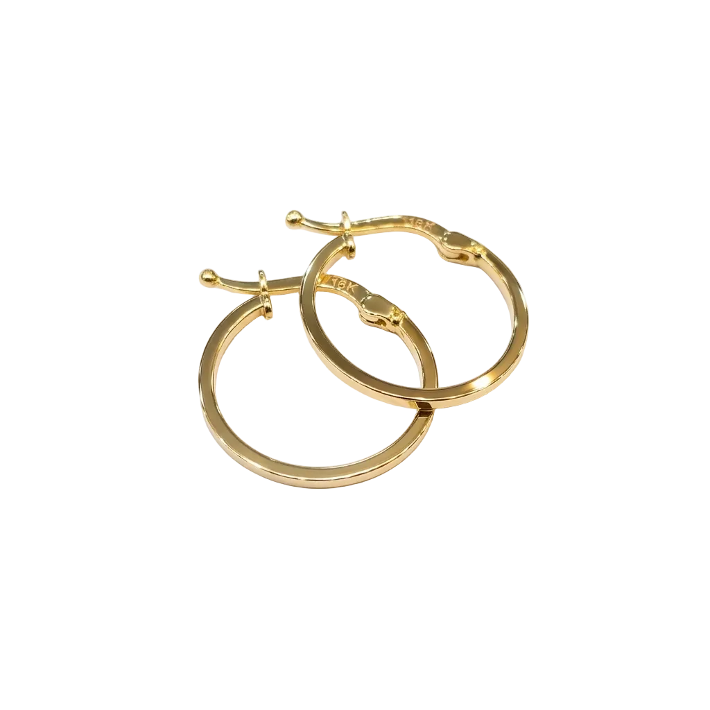 Pair of gold hoop earrings on a white background