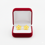 18K Real Gold  Star Dot Earrings
