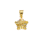 Gold pendant with a star-like design on a white background