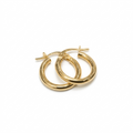 Pair of gold hoop earrings on a white background