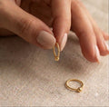 22k Gold Balls in Ball Loop Earrings