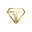 Embellish Gold logo