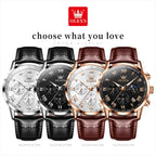 OLEVS Luxury Quartz Watch for Men