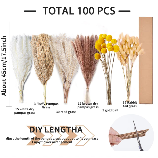 Set of dried grasses with packaging and measurement details on a white background