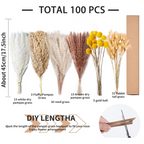 Set of dried grasses with packaging and measurement details on a white background